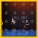 11/LRJ_281_v.jpg