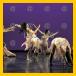 13_world/LRJ_336_v.jpg
