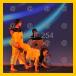 spectacle1/KEF-254_v.jpg