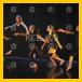 01/KED-028_v.jpg