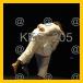 08/KEC_205_v.jpg