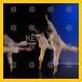 08/KEC_212_v.jpg
