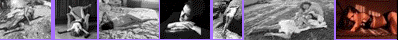 maurice_400_40